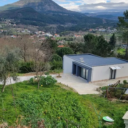 Felicidade 몬딤데바스토