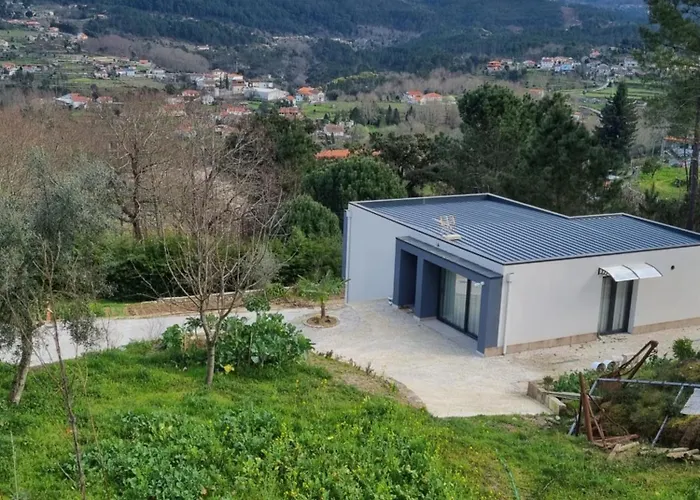 Felicidade 몬딤데바스토